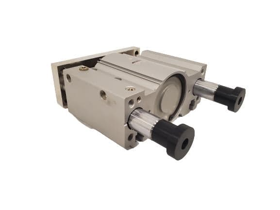 SMC 20-MGPM100-100